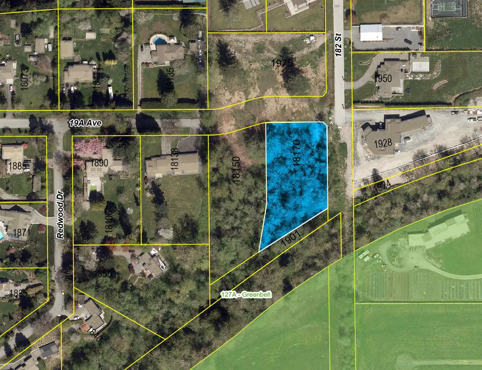 18170 19A AVENUE, Surrey BC V0V 0V0