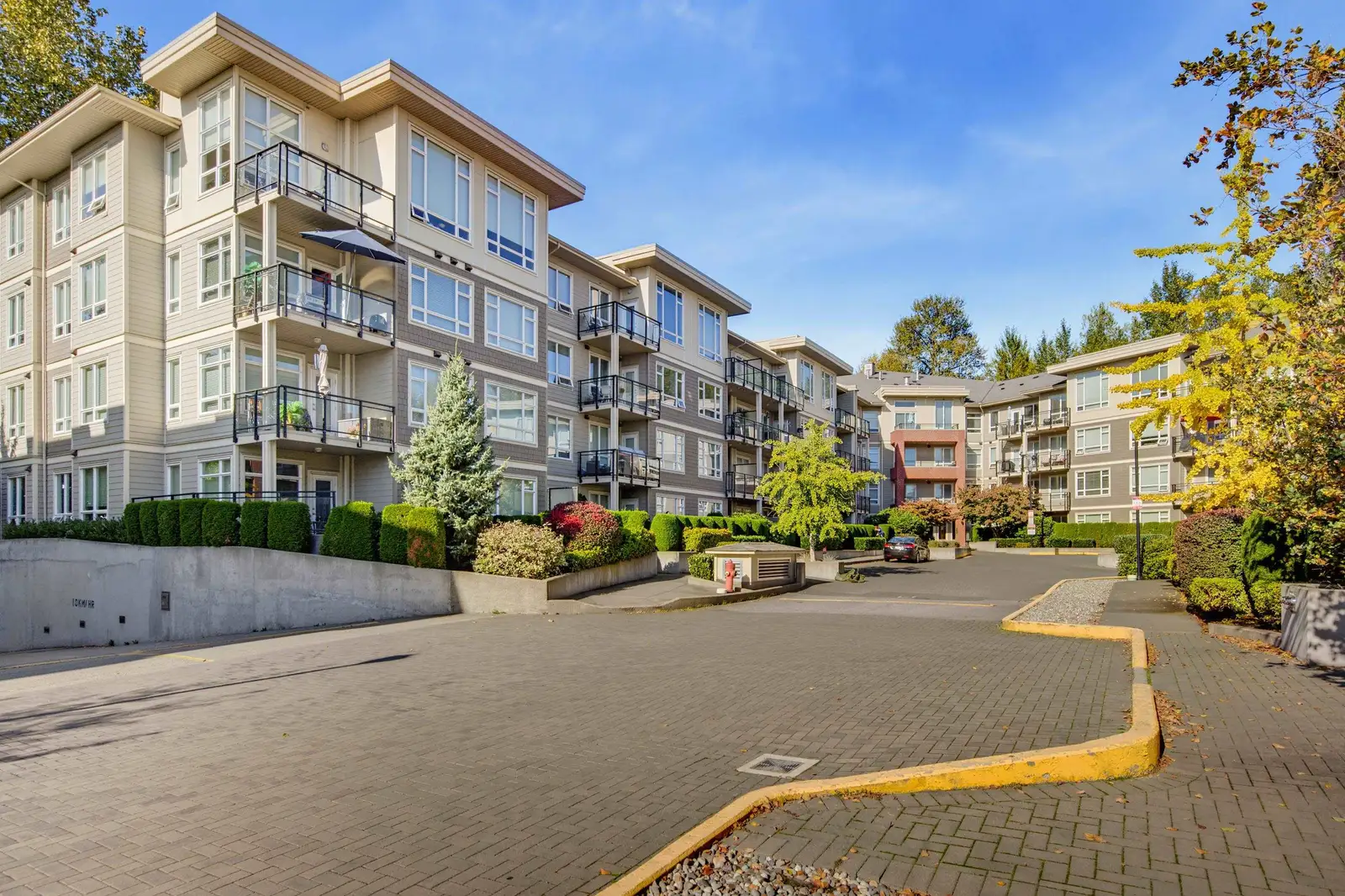 C209 20211 66 AVENUE, Langley BC V2Y 0L4