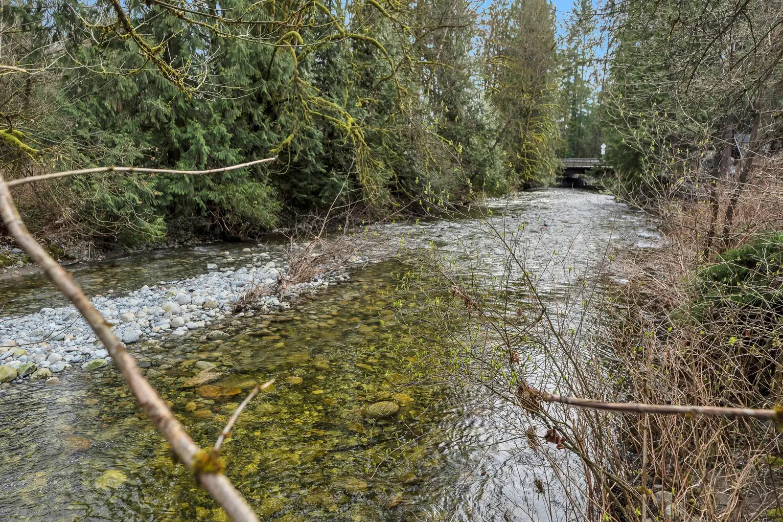 13292 232 STREET, Maple Ridge BC V2X 6V3
