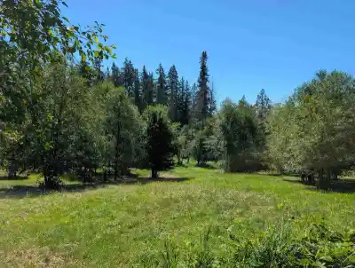 26713 96 AVENUE, Maple Ridge BC V2W 1K2