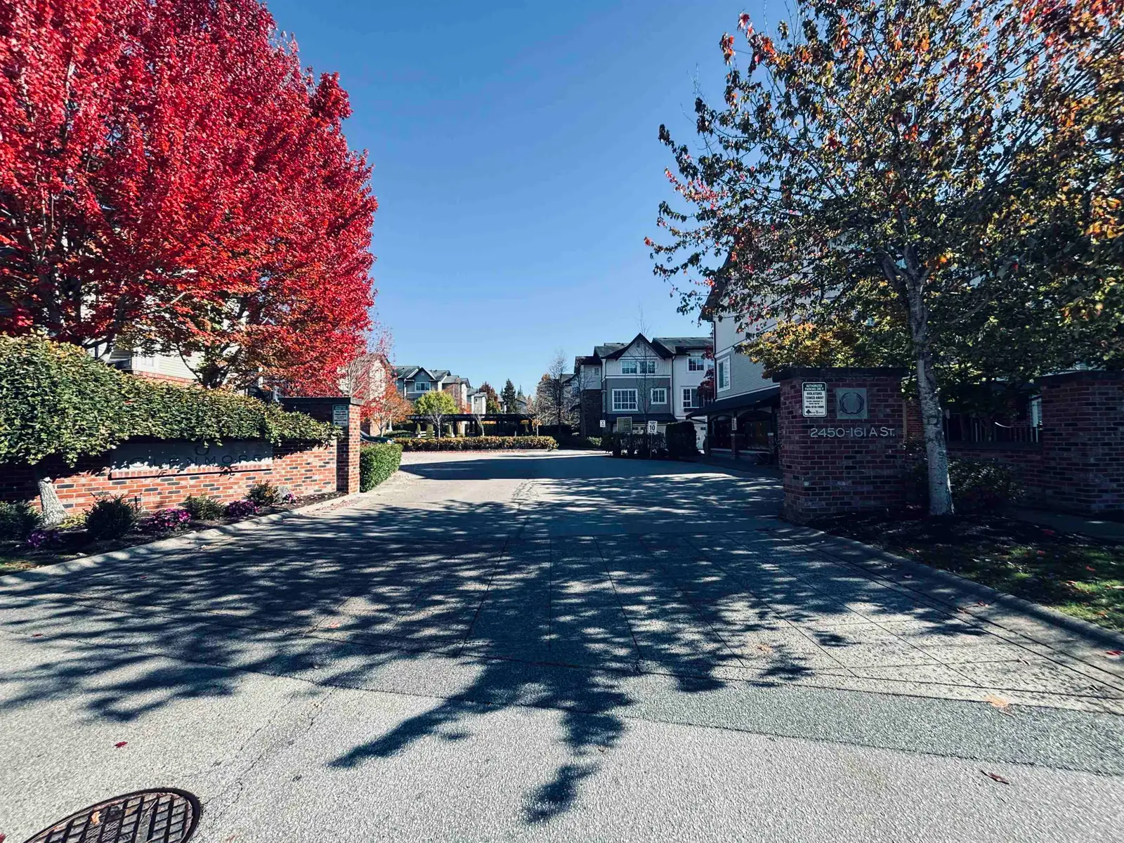 186 2450 161A STREET, Surrey BC V3Z 8K4