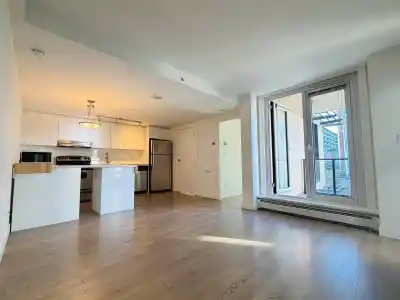 603 555 W 7TH AVENUE, Vancouver BC V5Z 1B4