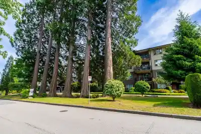 311 16068 83 AVENUE, Surrey BC V4N 0N2