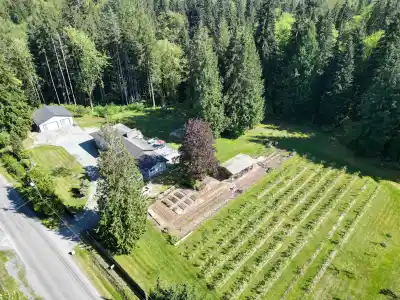 25908 124 AVENUE, Maple Ridge BC V4R 1B8
