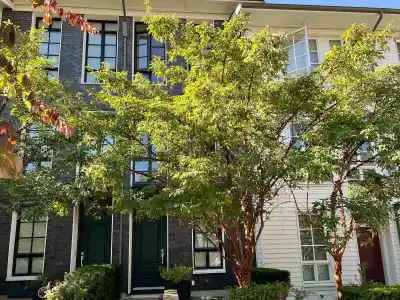 105 548 FOSTER AVENUE, Coquitlam BC V3J 0E2