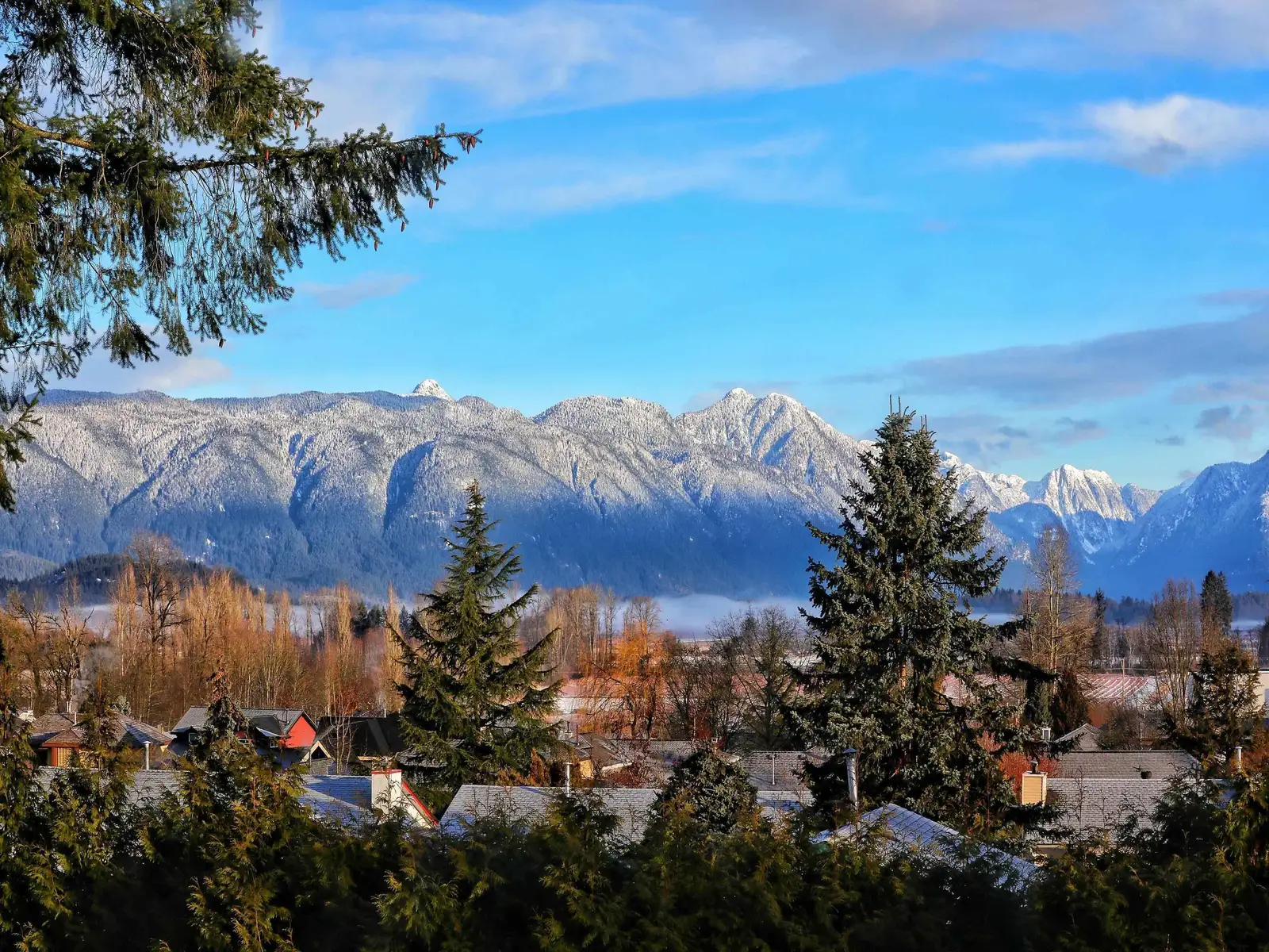 21489 CHERRY PLACE, Maple Ridge BC V2X 4L5