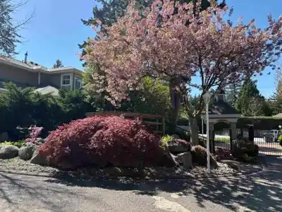 67 2500 152 STREET, Surrey BC V4P 1M8