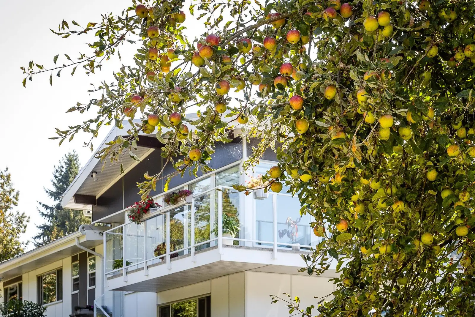 11906 100 AVENUE, Surrey BC V3V 2W1