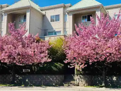 2 1383 BRUNETTE AVENUE, Coquitlam BC V3K 1G6
