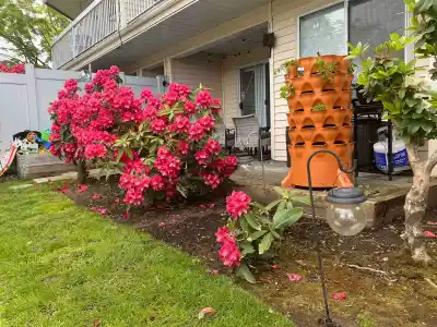 103 9299 121 STREET, Surrey BC V3V 7X8
