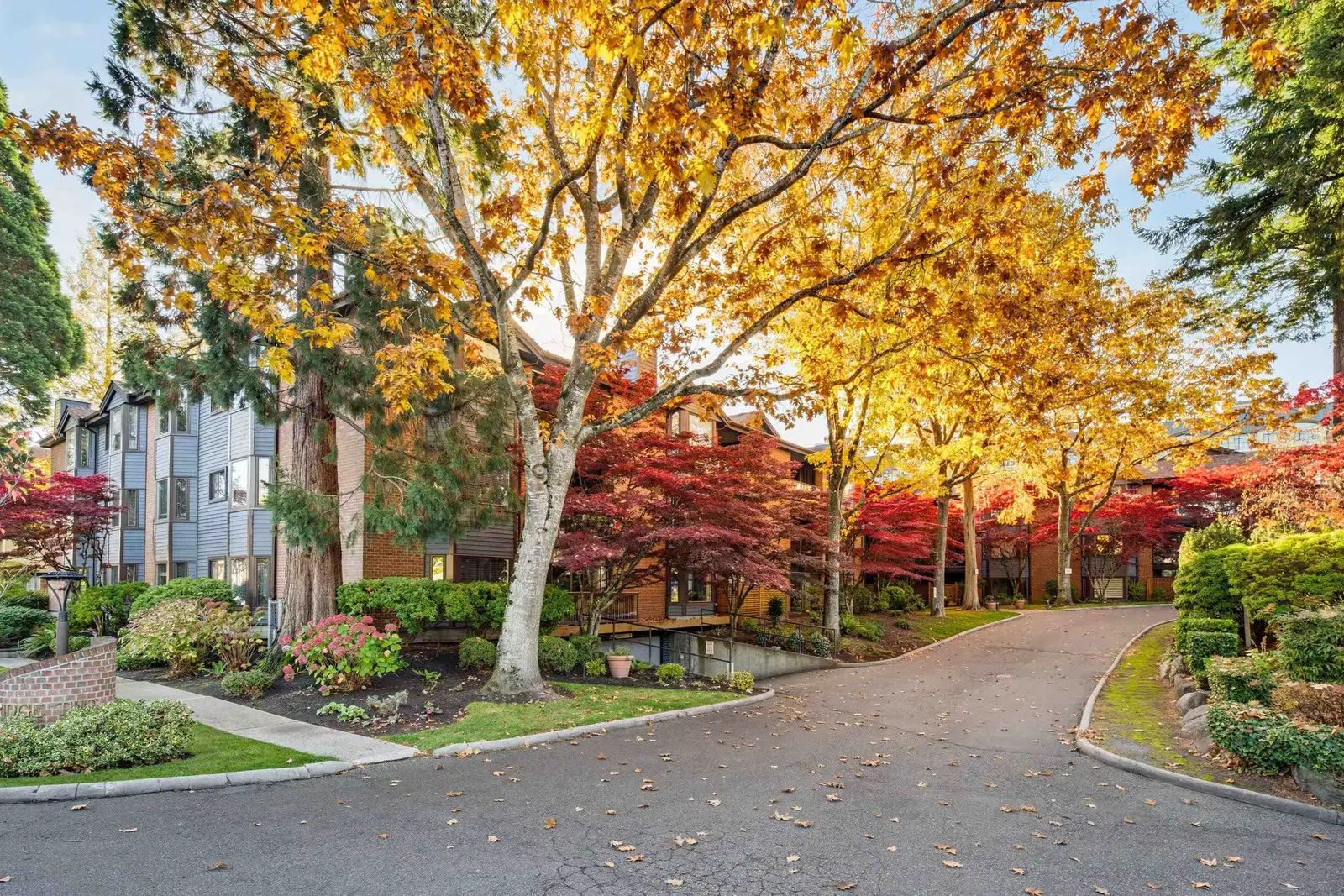 206 15300 17 AVENUE, Surrey BC V4A 8Y6