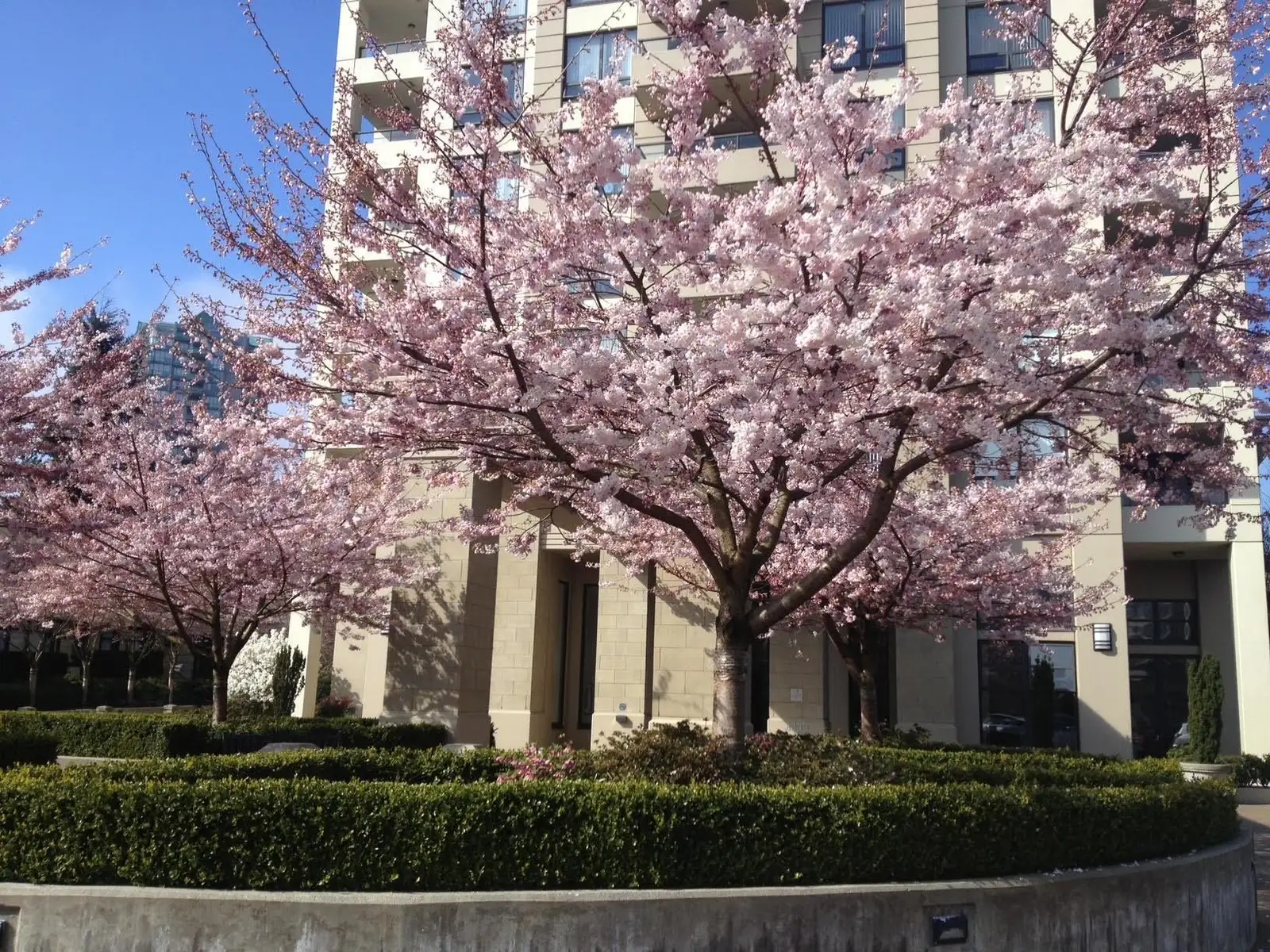 307 4333 CENTRAL BOULEVARD, Burnaby BC V5H 4W8