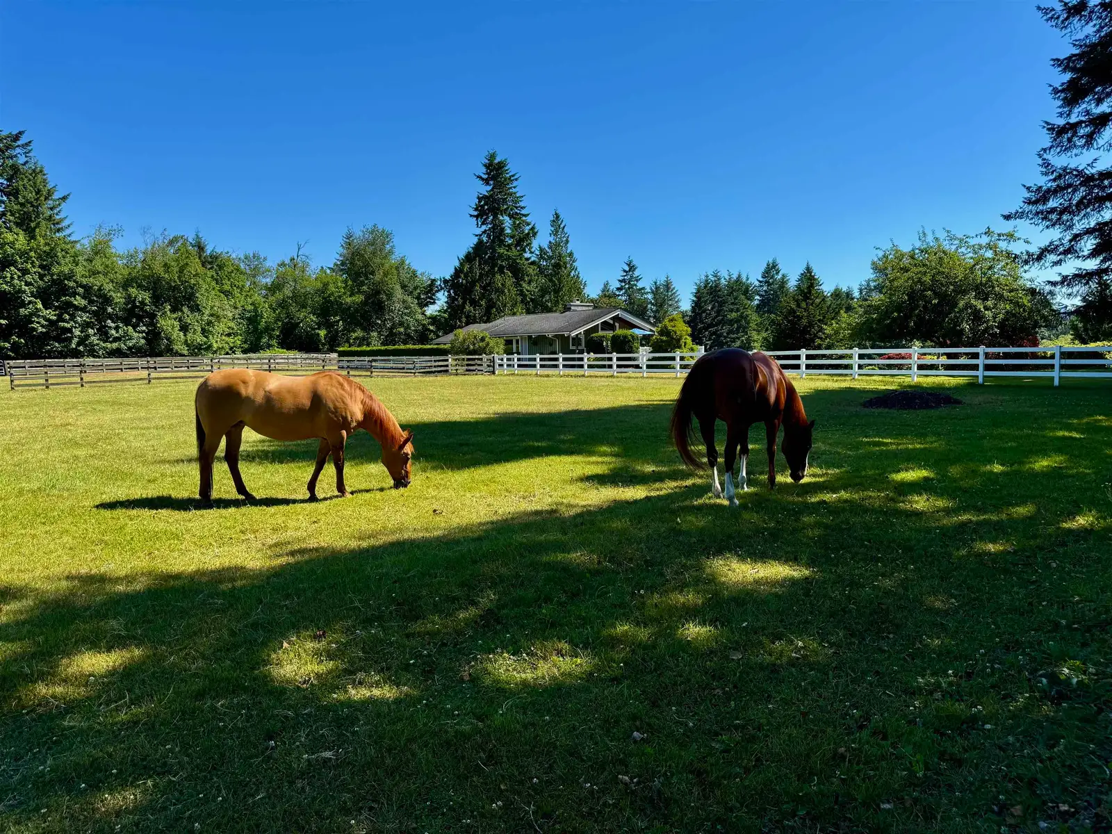 25177 64 AVENUE, Langley BC V4W 1H5