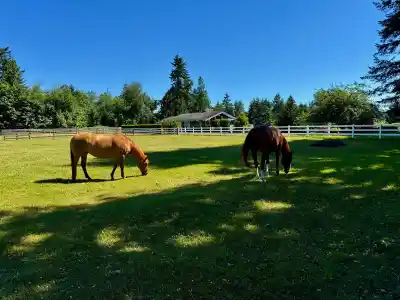 25177 64 AVENUE, Langley BC V4W 1H5